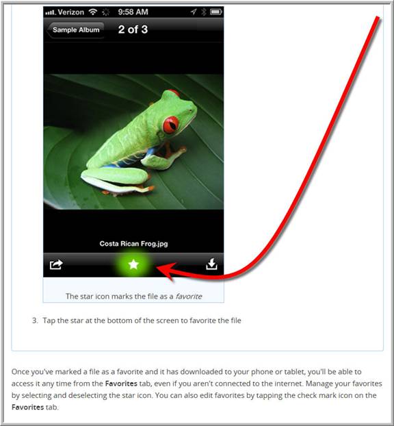 instal the new version for iphoneFastStone Image Viewer 7.8